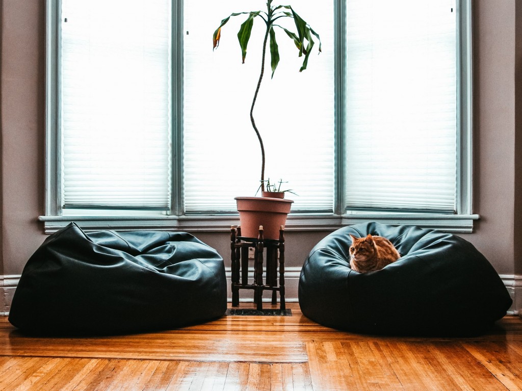 Installing Hardwood Flooring is a Perfectly Sound Investment